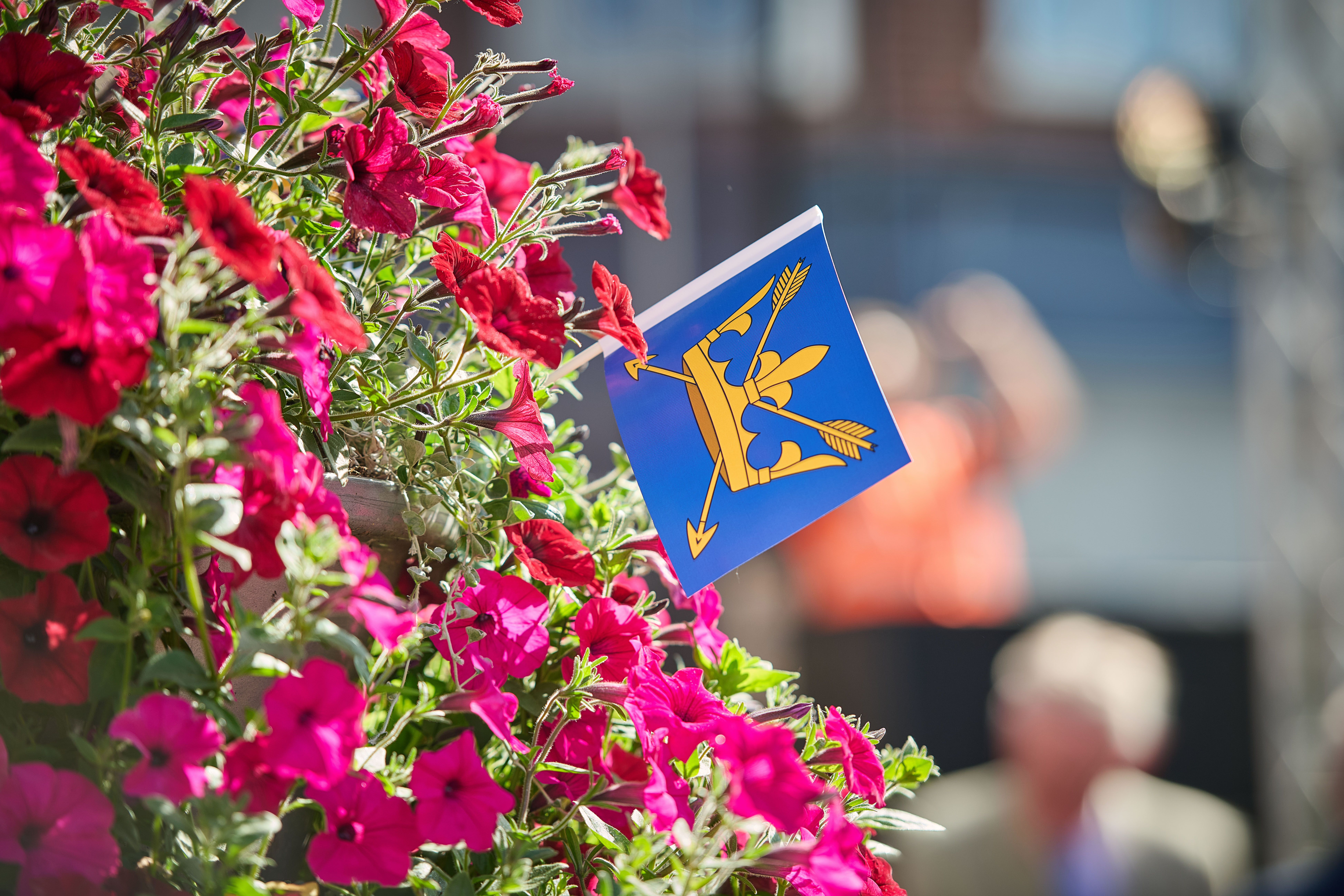Floral planter with Suffolk Flag (blue background with a yellow crown and arrows through it)